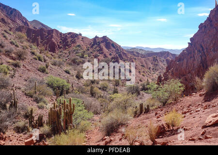 Cacti and dramatic rock formations in the Quebrada Palmira and Canyon del Inca, near Tupiza, Bolivia Stock Photo