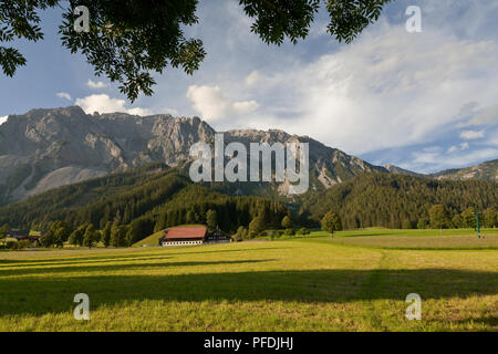 Mountains and fields at Ramsau, Austria in summer Stock Photo