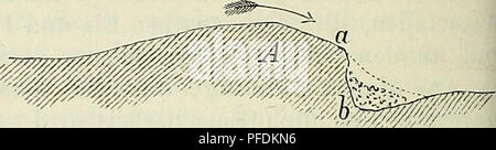 . Der Beobachter; allgemeine Anleitung zu Beobachtungen über Land und Leute für Touristen, Exkursionisten und Forschungsreisende. Nach dem &quot;Manuel du voyageur&quot;, unter Mitwirkung des Verfassers. Voyages and travels; Scientific expeditions. 266 . BEOBACHTUNGEN UND STUDIEN oft von splittriger und unregelmässiger Beschaffenheit sind. Zur Erklärung fügen wir die Fig. 111 bei. Es sei A ein Fels, dessen Fläche abgerieben, gerundet worden ist durch die Reibung des sich bewegenden Eises. Ist das Eis in a an-i gekommen, so kann es auf die Wand b des Hohlraums keine Wirkung ausüben, da diese ni Stock Photo