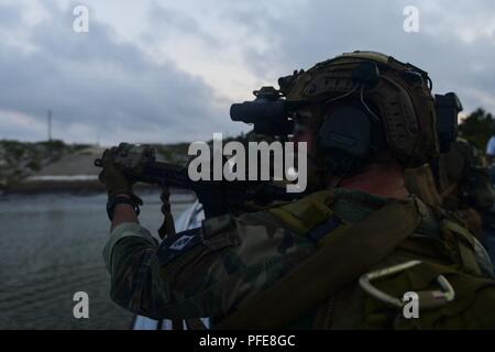 U.S. Marine Corps Raiders with the 3d Marine Raider Battalion perform ...