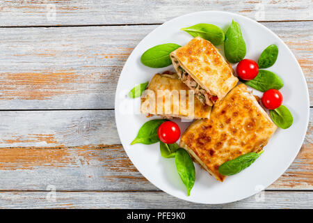 fried flatbread wraps Stuffed with chicken meat, Cucumber, coleslaw, tomato ,spinach, dill on white dish with fresh green leaves and tomatoes, view fr Stock Photo