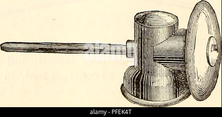 This catalog includes a variety of garden and farm seeds, plants, and garden tools, such as American Brass Syringes and various seed packets. It provides detailed information on different sizes of syringes and their uses in gardening. The catalog covers a wide range of products to support garden care and maintenance. Stock Photo