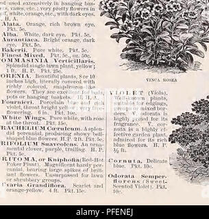 This catalog features a variety of zinnias, including double-flowered varieties in colors like scarlet and white, as well as distinctive striped flowers. These plants grow up to 18 inches high and display vibrant, multicolored blooms. The catalog offers different package sizes, including collections of six or twelve distinct colors. Stock Photo