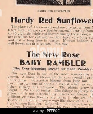 . Descriptive catalogue of vegetable, flower, and farm seeds. Nurseries (Horticulture); Nursery stock; Seeds; Bulbs (Plants); Gardening; Equipment and supplies; Bedding plants; Weeber &amp; Don. Those offered below are strong two-year-of use or for marketing on a small scale, be Jive feet wide, with three rows planted middle and one on each side a foot Iron between the plants in the rows nine mclu Con over's Colossal. Strong two-vea 80c, 1000 S6.00. The Palmetto. Strong two-year-old 1000 $8.00. roots. Per 100 Per 100 S1.00, BEANS ENGLISH OR BROAD German, Uartenbohne. French, Few (JeMarina. Spa Stock Photo