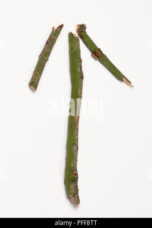 Direction arrow made from branches or sticks. (B) Stock Photo