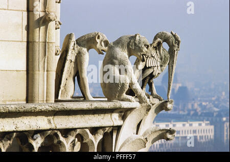 France, Paris, Notre- Dame Cathedral, Galerie des Chimieres, stone gargoyles. Stock Photo