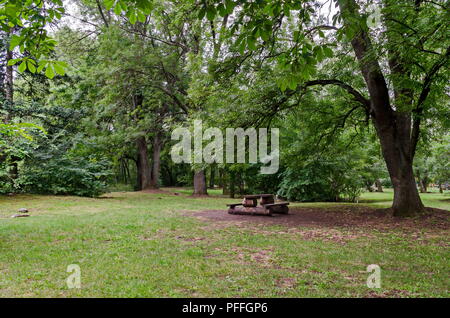 Wooden bench and table on a meadow in the forest at natural old West park, Sofia, Bulgaria Stock Photo