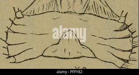 Ac C A Eeªc A a C A ca C e Ae C A11a A Ae C A Ci Stock Photo Alamy
