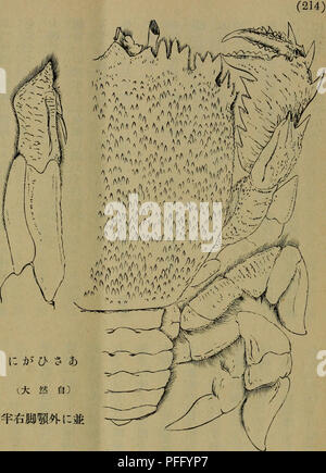 Dbutsugaku Zasshi Zoology Zoology Iae E E Eeªªca ºa A A A A A µa A A I a Ranlsa Ranina Tan E A Cancer Raniluls Limia 176 4 Ranina Sel Rata Lamarl 180a I Aº Pr Delltata Latraiue 14 Albunea Wop M Fabricius 1798 A Ae A A