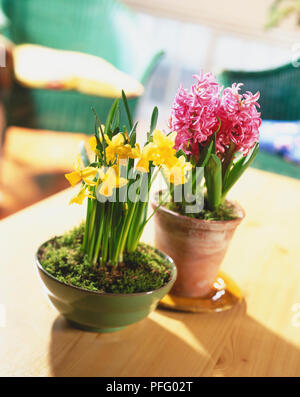 Flowers In Container Pots On A London Balcony UK Stock Photo Alamy flowers-in-container-pots-on-a-london-balcony-uk-stock-photo-alamy