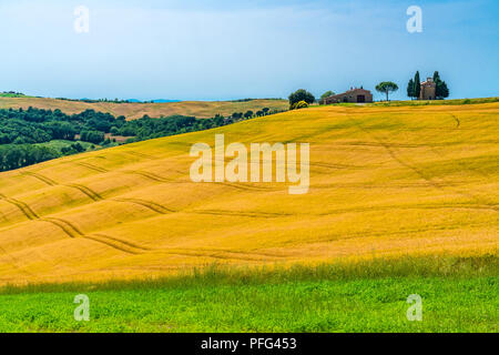 View of the beautiful hilly Tuscany in Valdorcia Italy in sunny day with the Cappella della Madonna di Vitaleta and the yellow wheat field Stock Photo