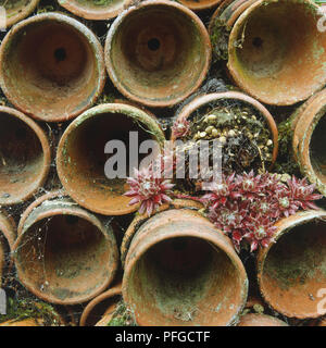 Stacked terracotta garden pots Stock Photo - Alamy