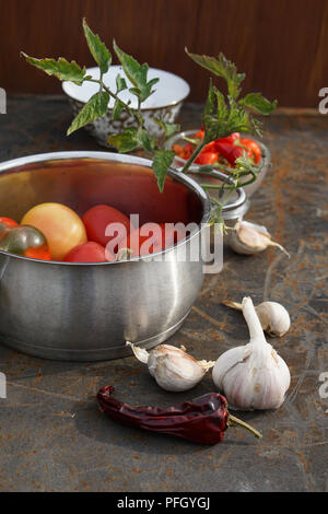 Fresh tomatoes and pepper in pot. Colorful image with assorted colorful tomatoes, different pepper, chile, garlic and salt.  Rustic style. Stock Photo