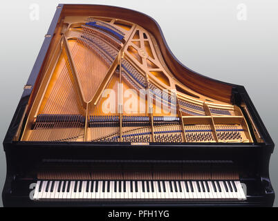 Đàn piano lớn, nắp được tháo ra để xem bên trongĐàn piano lớn, nắp được tháo ra để xem bên trong  