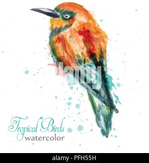 Kingfisher or bee-eater tropic bird in watercolor Vector illustration Stock Vector