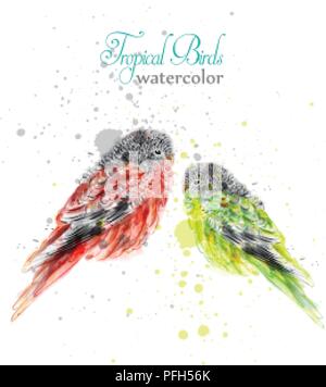 Small birds in watercolor Vector. Tropic colorful cute parrots illustration Stock Vector