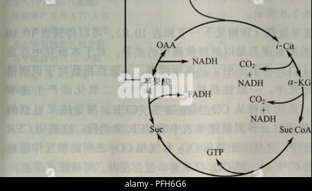 Dai Xie Gong Cheng Botany Aeaºe A Aºe A Aºe A Aºe 15 4aºc C I C Ce I A Eaee E Ae E C C Aºae Aea E Cc Aec A Ae C Ae ºaeºca Ae Aºc Aºae Aea ºe 1 Ki 1 Ia 1 5 4 A A ªc Aºae Aea ªae Eµ Aºcº Ae A A A Aºaºc C Ce E C Ae A Ae Ca C Km App Km L