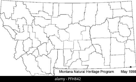 This survey examines *Quercus macrocarpa* (Bur Oak), a sensitive species in Montana, assessing its conservation status and ecological significance in the region. It provides details about its growth, bark characteristics, and leaf structure. Stock Photo