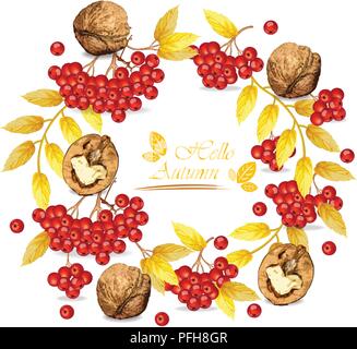 Rowan berries and walnuts wreath Stock Vector
