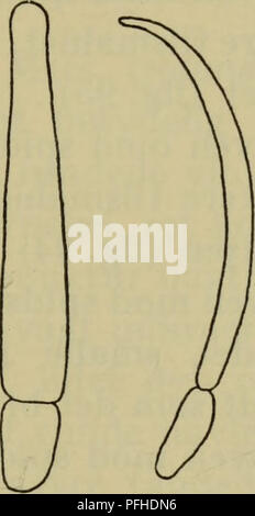 This anatomical guide provides detailed depictions of the brain ...
