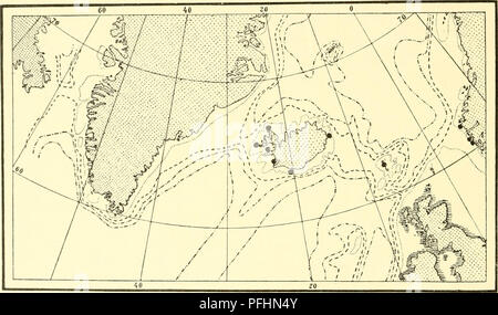 . The Danish Ingolf-expedition. Marine animals; Marine animals; Hydrography; Hydrography; Scientific expeditions. 112 HYDROIDA 11 Diphasia rosacea (Linne) L. Agassiz. 1758 Sertularia rosacea, Linne, Systema naturae, Ed. 10, p. 807. 1862 Diphasia rosacea, L. Agassiz, Contributions to the natural history of the United States, vol. 4, p. 355. Upright colonies without distinct main stem. The colonies are irregularly pinnate or bushily branched, segmented, and with a pair of oppositely placed hydrothecse on each internodium. The hydrothecse are slender, almost evenly tubular, with slightly divergen Stock Photo