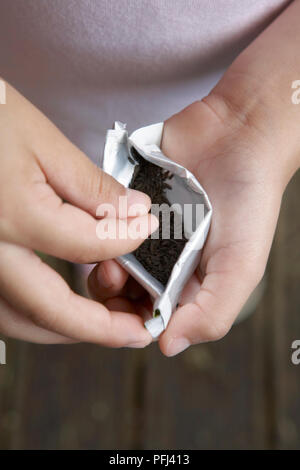Hand holding lettuce seeds Stock Photo
