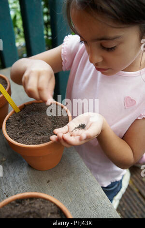 Girl planting lettuce seeds Stock Photo