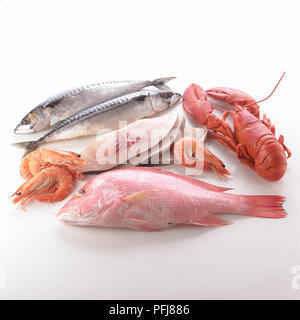 A selection of fresh seafood, including mackerels, slices of mahi-mahi fish, lobster, shrimps and red snapper Stock Photo