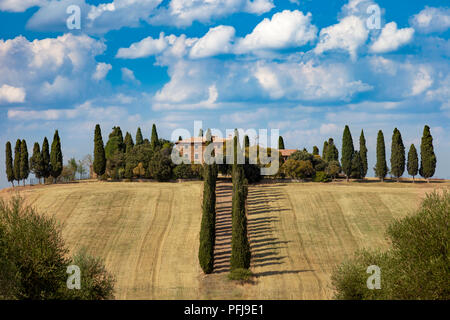 Tree-lined drive to country villa near San Qurico d'Orcia, Tuscany Italy Stock Photo