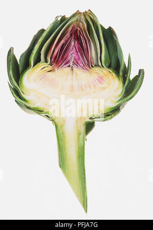 Globe artichoke, cut in half Stock Photo