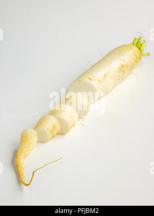 botany, radish, (Raphanus), Radish, (Raphanus sativus), studio shot ...