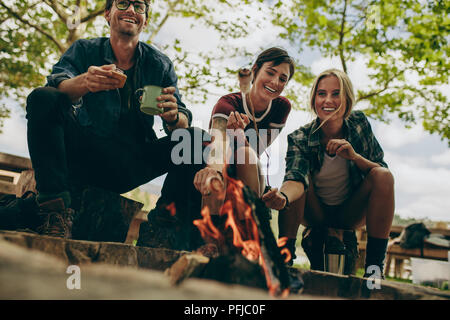 Two women toasting marshmallows on bonfire using sticks while a man holds a coffee mug. Smiling friends toasting food on bonfire in the countryside. Stock Photo