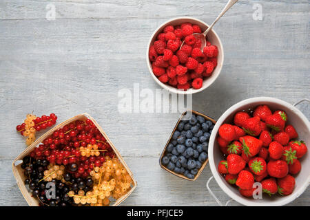 A selection of fresh berries in bowls and punnets, including strawberry, blueberry, blackcurrant, redcurrant, yellow currant, raspberry, view from above Stock Photo