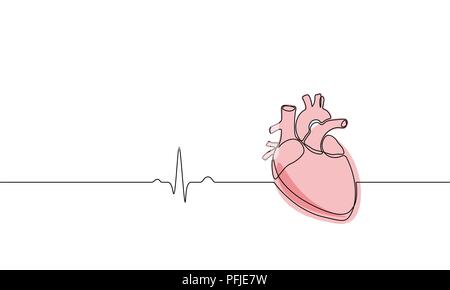 Single continuous line art anatomical human heart silhouette. Healthy medicine concept design one sketch outline drawing vector illustration Stock Vector