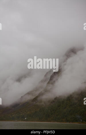 Forested mountain slope in low lying cloud with the evergreen conifers shrouded in mist in a scenic landscape view Stock Photo