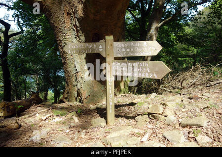 Wooden Signpost to Lynmouth & Culbone Church/Wood on the South West Coastal Path in Devon, England, UK. Stock Photo