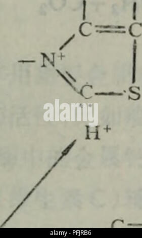 This image features detailed botanical chemical formulas, likely related to plant compounds or biochemical processes. The image presents complex molecular structures and chemical notation that are essential in the study of plant biochemistry and botany. Stock Photo