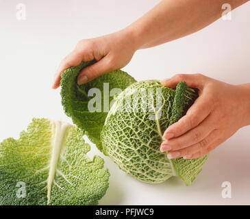 Outer leaves being peeled off green cabbage head, side view Stock Photo
