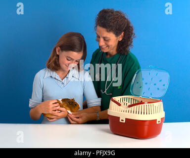 Girl holding brown and white guinea pig next to female vet, smiling, animal carry case Stock Photo