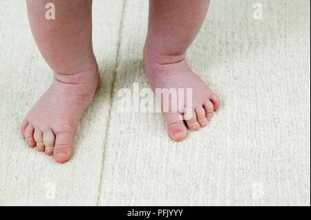 Baby's feet, standing on rug, close-up Stock Photo