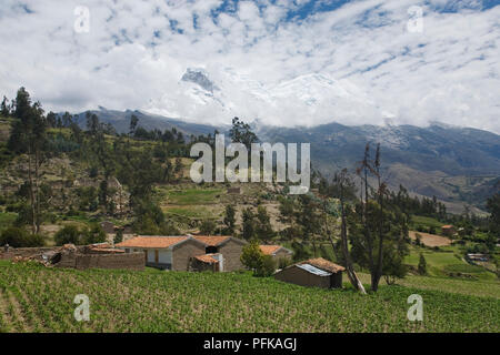 Peru, Ancash, Cordillera Blanca, mud brick houses and fields on hillside, snow-covered mountains behind clouds Stock Photo