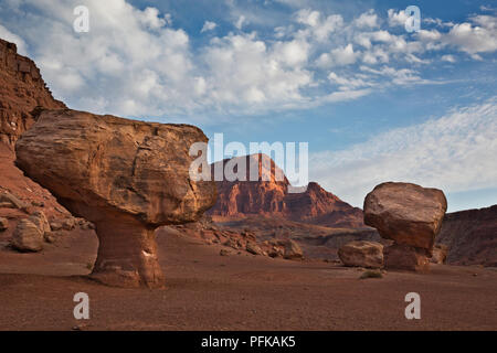 AZ00344-00...ARIZONA - A rock toadstool located and the backside of Balanced Rock at the base of the Vermilion Cliffs in Glen Canyon National Recreati Stock Photo