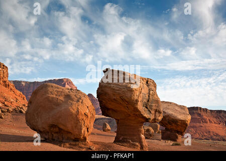 AZ00345-00...ARIZONA - A rock toadstool located and the backside of Balanced Rock at the base of the Vermilion Cliffs in Glen Canyon National Recreati Stock Photo