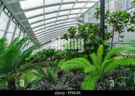 LONDON, UK - AUGUST 16, 2018: The Sky Garden is Europe's highest garden space located on top of 20 Fenchurch St. It features a stylish restaurant; bra Stock Photo