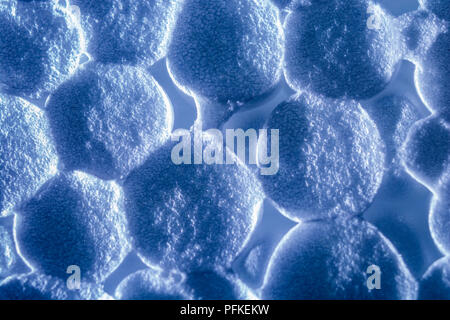 Extreme macro EPS / Expanded Polystyrene showing some links between polystyrene granules (size approx 3-5mm). Have almost bacteria-like feel to them. Stock Photo