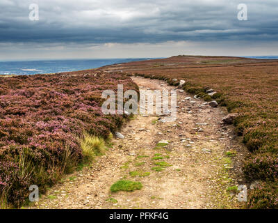 The Millennium Way footpath on Burley Moor West Yorkshire England Stock Photo