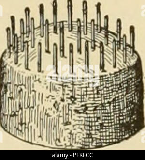 . Cyclopedia of farm crops. Farm produce; Agriculture. Fig. 240. Common wash-boiler and slats for heating cans preparatory to sealing. flavor, put in jars and set in a pan of water in the oven or in a steamer to cook and then be filled with thin syrup. Before sealing, a spoon should be put down between jar ^ and fruit to let out ' â â all air-bubbles. The pressure of the atmosphere on the surface of the preserving kettle causes some vari- ation in the dens- ity of syrup, how- ever the sugar and water were pro- portioned at first. When canning acid fruits, the syrup used to fill the jars may b Stock Photo