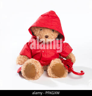 teddy bear with raincoat