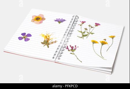 Pressed flowers in opened notebook Stock Photo