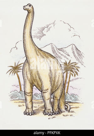 Art work of a Brachiosaurus. Stock Photo